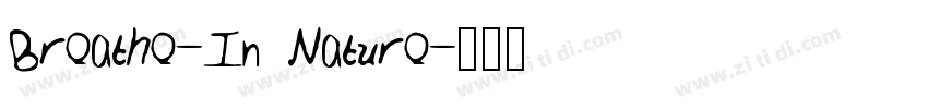 Breathe-In Nature字体转换